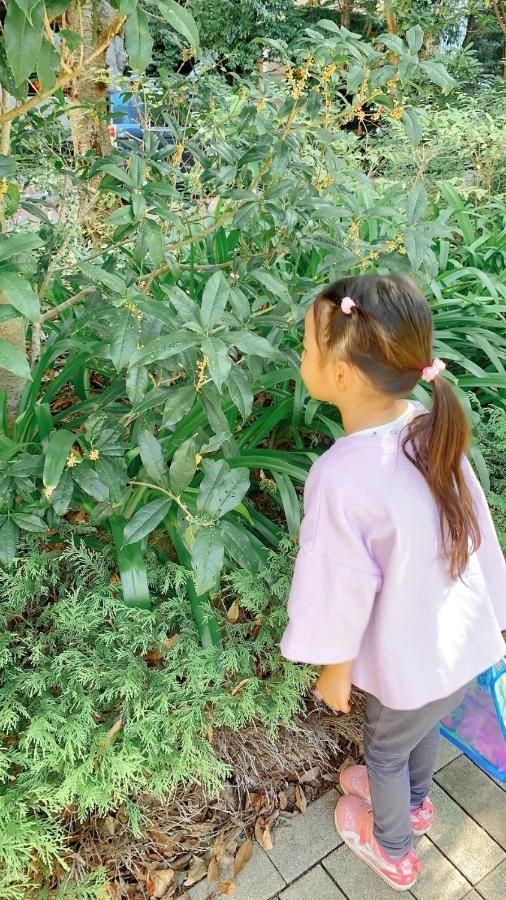 口福丸_Koufukumaru_はなれ_Hanare 本部町 エクステリア 写真